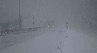 Bolu Dağı'nda kar şiddetini artırdı