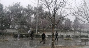 Gebze'de kar yağışı