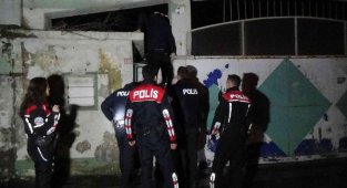 Hırsızları yakalamak için düz duvara tırmandılar