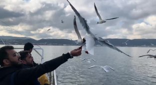 Kar öncesi bahar havası