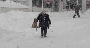 Kastamonu'nun sahil kesiminde yoğun kar yağışı