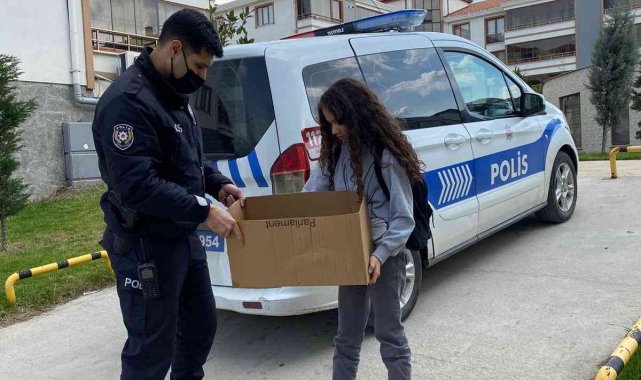 Kız çocuğunun dikkati anne kedinin hayatını kurtardı