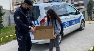 Kız çocuğunun dikkati anne kedinin hayatını kurtardı