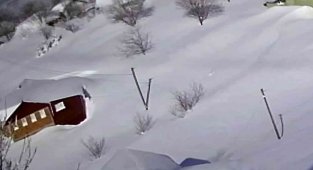 Sakarya'da Kar Kalınlığı 3 Metreyi Buldu, Evler Kara Gömüldü