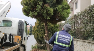 Serdivan Bahara Hazırlanıyor