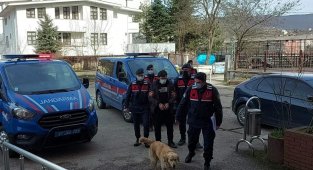 Suç makinesi hırsızı karda bıraktığı ayak izleri ele verdi