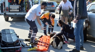 D-650'de Feci Kaza: 1'i Çocuk 3 Yaralı