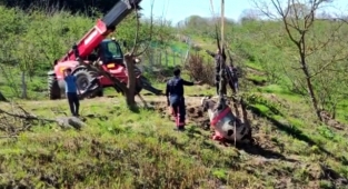 İtfaiye Ekipleri Dereye Düşen Hayvanı Kurtardı