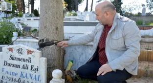 Mezar Başındaki Ağacı Kestiler