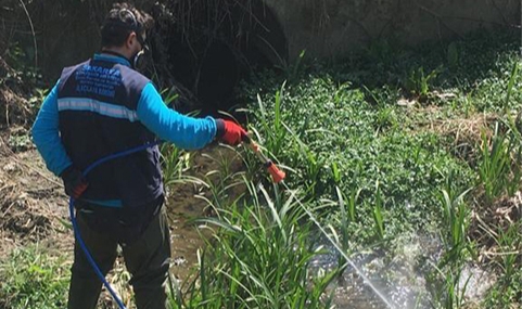 Sapanca’da Larva İlaçlama Çalışmasına Başlandı