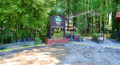 Orman Park'a Yeni Otopark Alanı Yapılacak