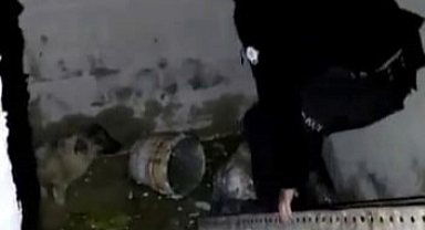 Bekçilerden Örnek Hareket: Köpeği Kurtardılar