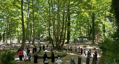 Büyükşehir Yaşlılara Özel Piknik Programı Düzenledi