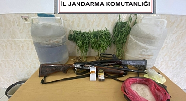 Jandarma'dan Kenevir Operasyonu: 1 Gözaltı