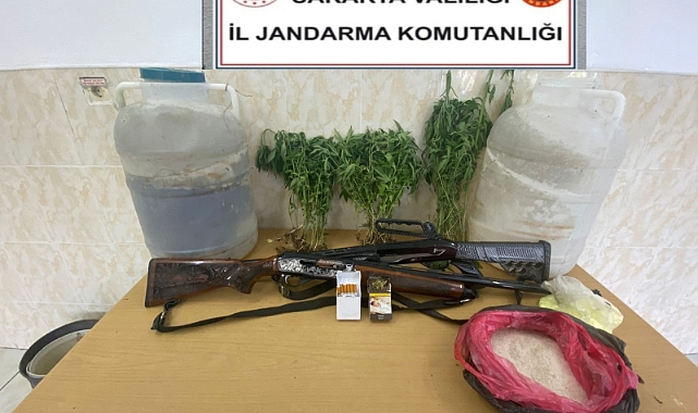 Jandarma'dan Kenevir Operasyonu: 1 Gözaltı