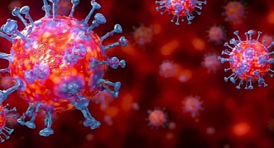 Koronavirüs Tablosu Açıklandı