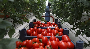 Mükemmeliyet Merkezi'nin İlk Ürünleri Sofralarda Yerini Aldı