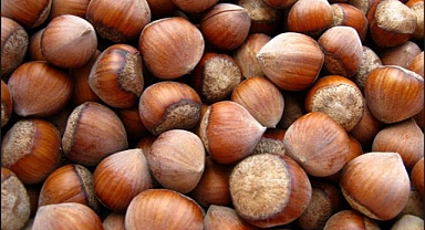 10 Bin 184 Ton Fındık İhraç Edildi