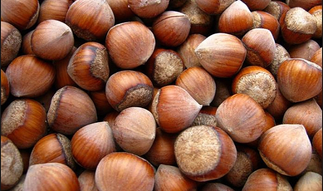 10 Bin 184 Ton Fındık İhraç Edildi