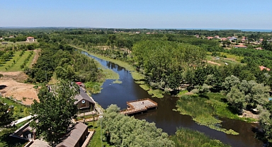 Acarlar Longozu Açılıyor