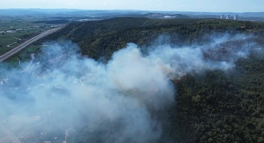 Adapazarı'nda Ormanlık Alanda Çıkan Yangın Paniğe Neden Oldu