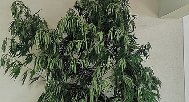 Akyazı'da Uyuşturucu Operasyonu: 2 Gözaltı