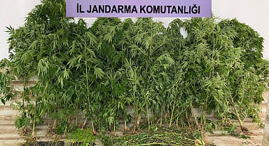 Karasu'da Uyuşturucu Operasyonu: 2 Gözaltı