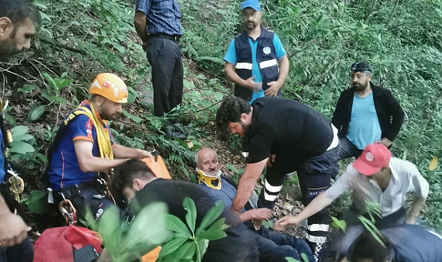Mantar Toplarken Dere Yatağına Düştü: Uzun Uğraşlar Sonunda Kurtarıldı