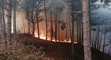 Ormanlık Alanlara Girişler Yasaklandı