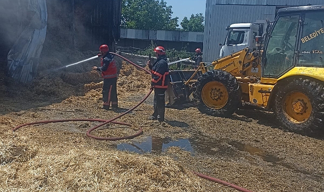 Samanlık Cayır Cayır Yandı