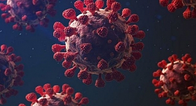 Uzmandan kritik Uyarı: Vaka Sayıları 5 Kat Arttı