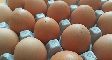 Yumurta Fiyatlarına Büyük Zam 