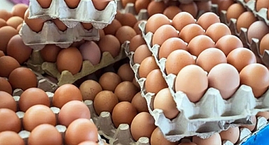 Yumurta Fiyatlarına Zam Geldi