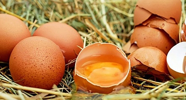 Yumurta Üreticileri İsyan Etti