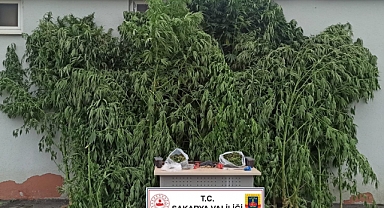 Akyazı'da Uyuşturucu Operasyonu: 1 Gözaltı