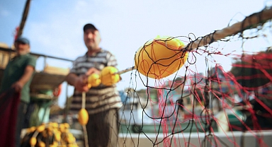 Balıkçılar Hazırlıklarını Tamamladı: Yeni Av Sezonu Başladı