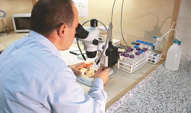 Bilim İnsanları Düşünme Yeteneğine Sahip Malzeme İcat Etti