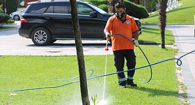 Büyükşehir Vektörlerle Mücadele Ediyor