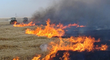Büyükşehir Yangınlara Karşı Vatandaşları Uyardı