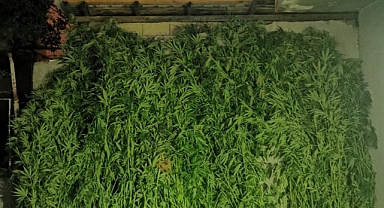 Erenler ve Akyazı'da Uyuşturucu Operasyonu: 2 Gözaltı