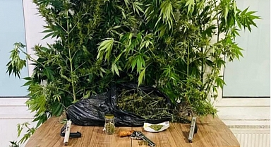 Jandarma'dan Zehir Operasyonu