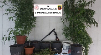 Jandarma Uyuşturucuya Geçit Vermiyor: 1 Gözaltı