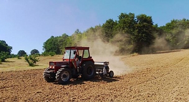 Tarımsal Destek Ödemeleri Bugün Hesaplara Yatırılacak