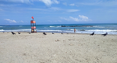 Tatilcilere Kötü Haber: O İlçelerde Denize Girmek Yasaklandı