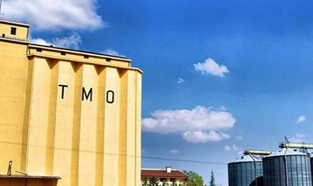 TMO Fındık Alımlarına Başladı
