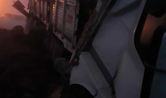 Tomruk Yüklü Kamyon Devrildi: 1 Yaralı