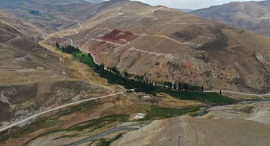 Türkiye'de Gümüş Rezervi Bulundu