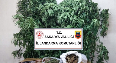 Zehir Operasyonu: 5 Gözaltı