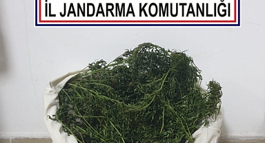 Adapazarı'nda 1 Kilogram Kubar Esrar Ele Geçirildi: 1 Gözaltı