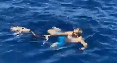 Bakan Soylu'nun Sözünü Ettiği Görüntüler Yürekleri Sızlattı